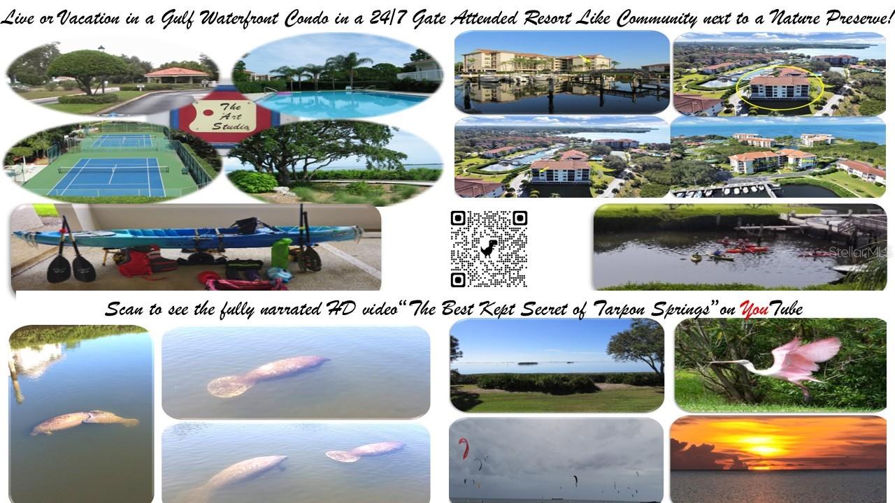 Scan the QR Code to see and hear the HD video and bypass all of the reading time.