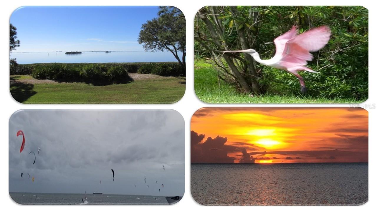 to catch it all from boating to wildlife to kite surfers to spectacular sunsets to...