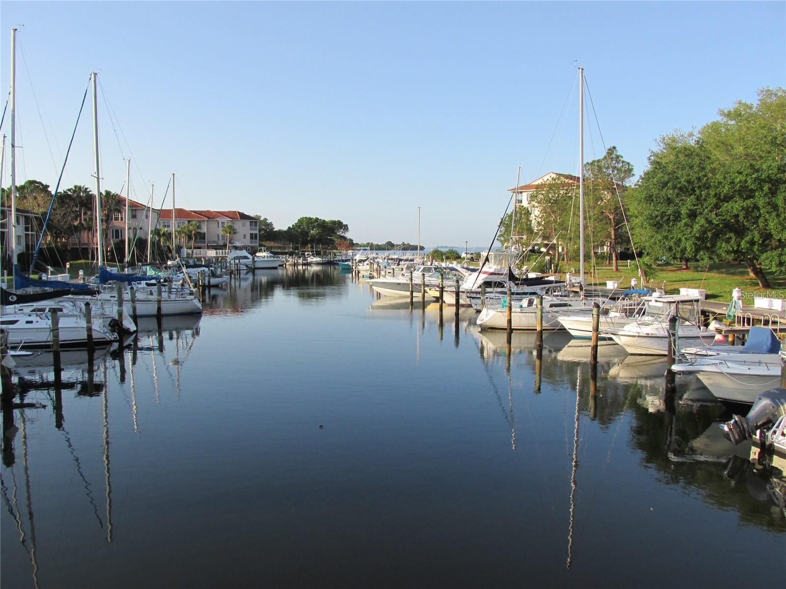 back to the beautiful private marina. The marina is owned and operated by the Tarpon Cove association, which does not make a profit off it's Tarpon Cove users, $175/month.  For others in the community (if available) can be rented for approximately double the cost. Tarpon Cove residents has first rights.