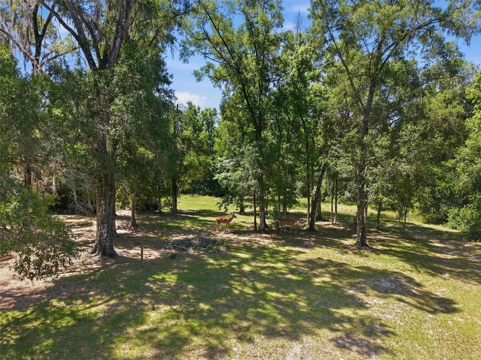 W7883279