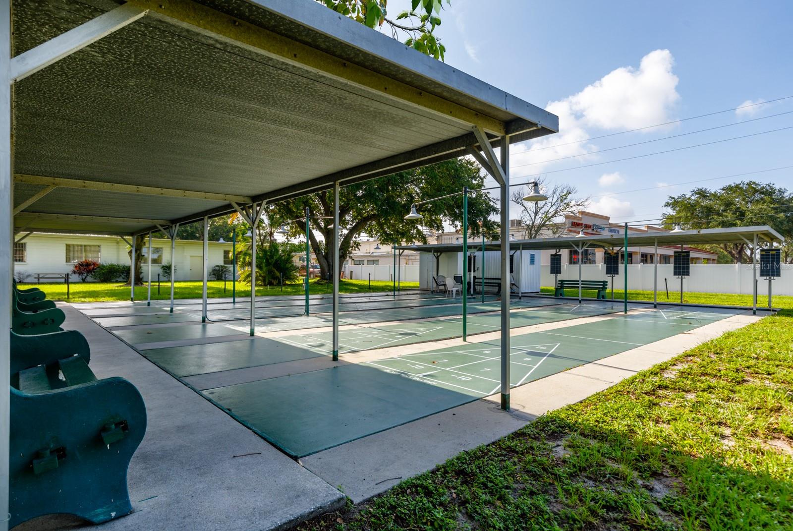 Shuffleboard Court