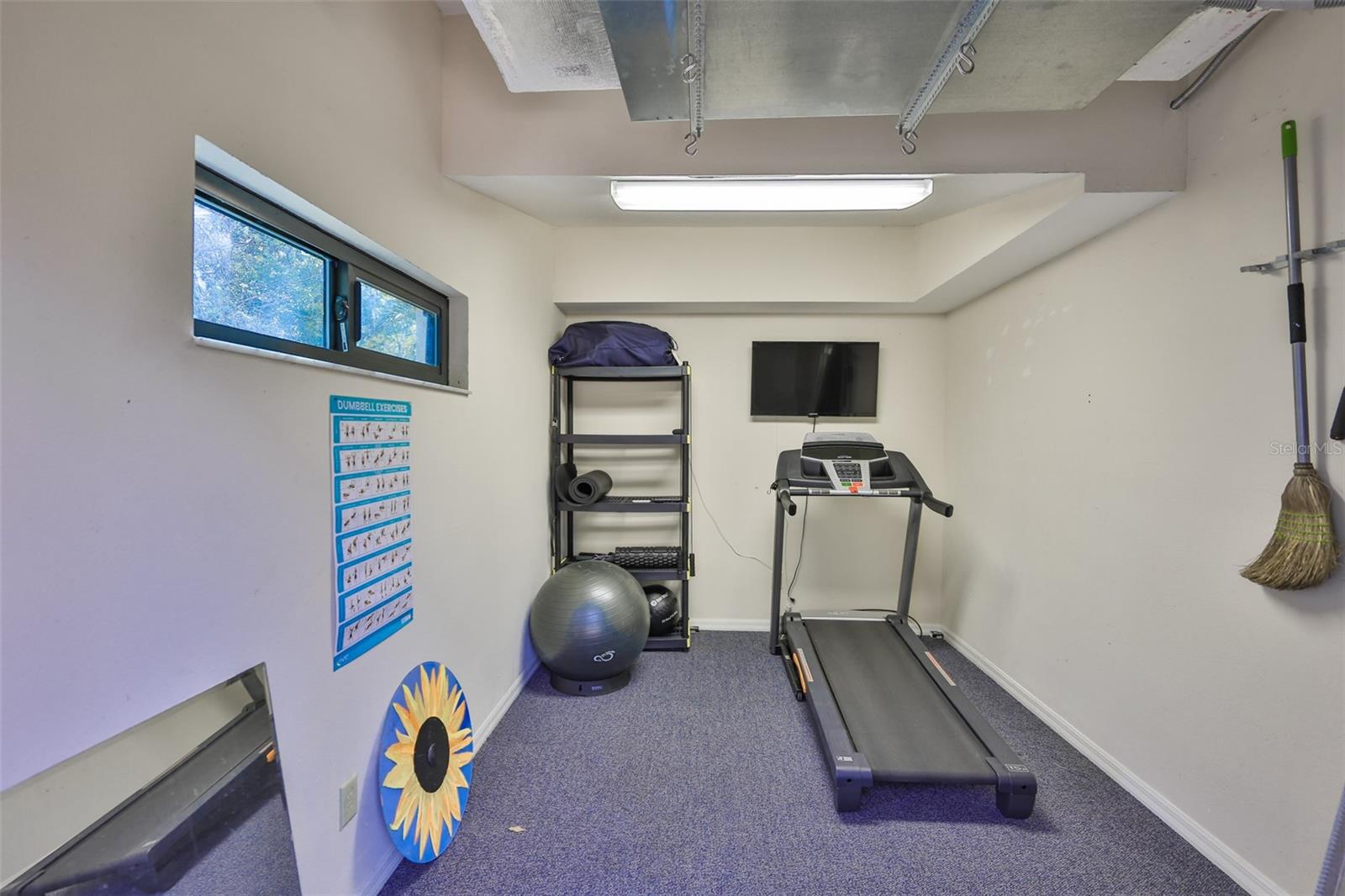 Flex room #2 - Gym, studio, home office