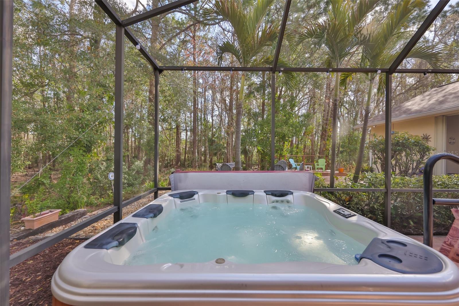 8 person Bullfrog Spa