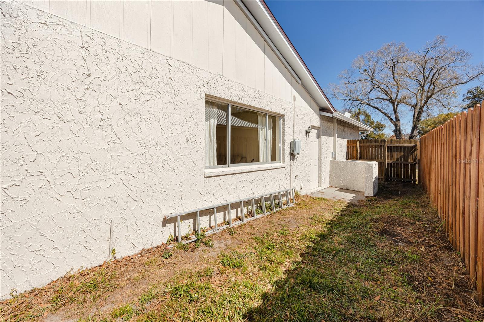 Back Yard at 14012 Cascade Ln, Tampa, FL 33618