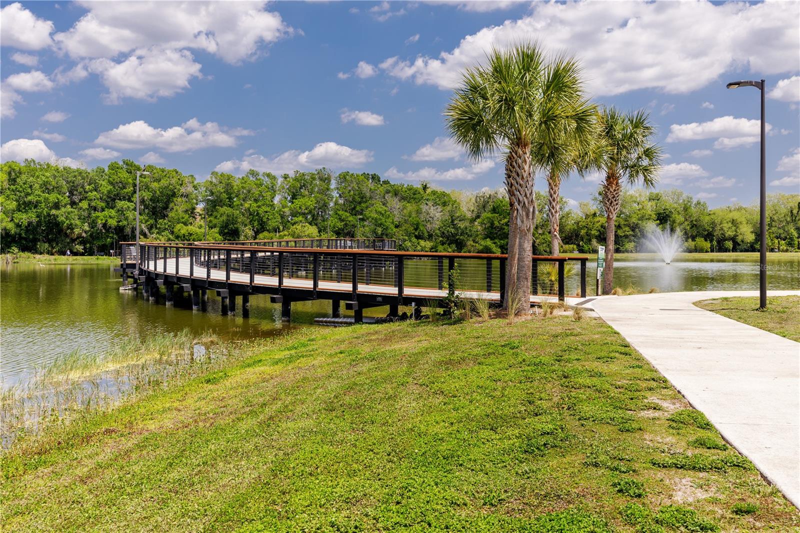 Carrollwood Village Park