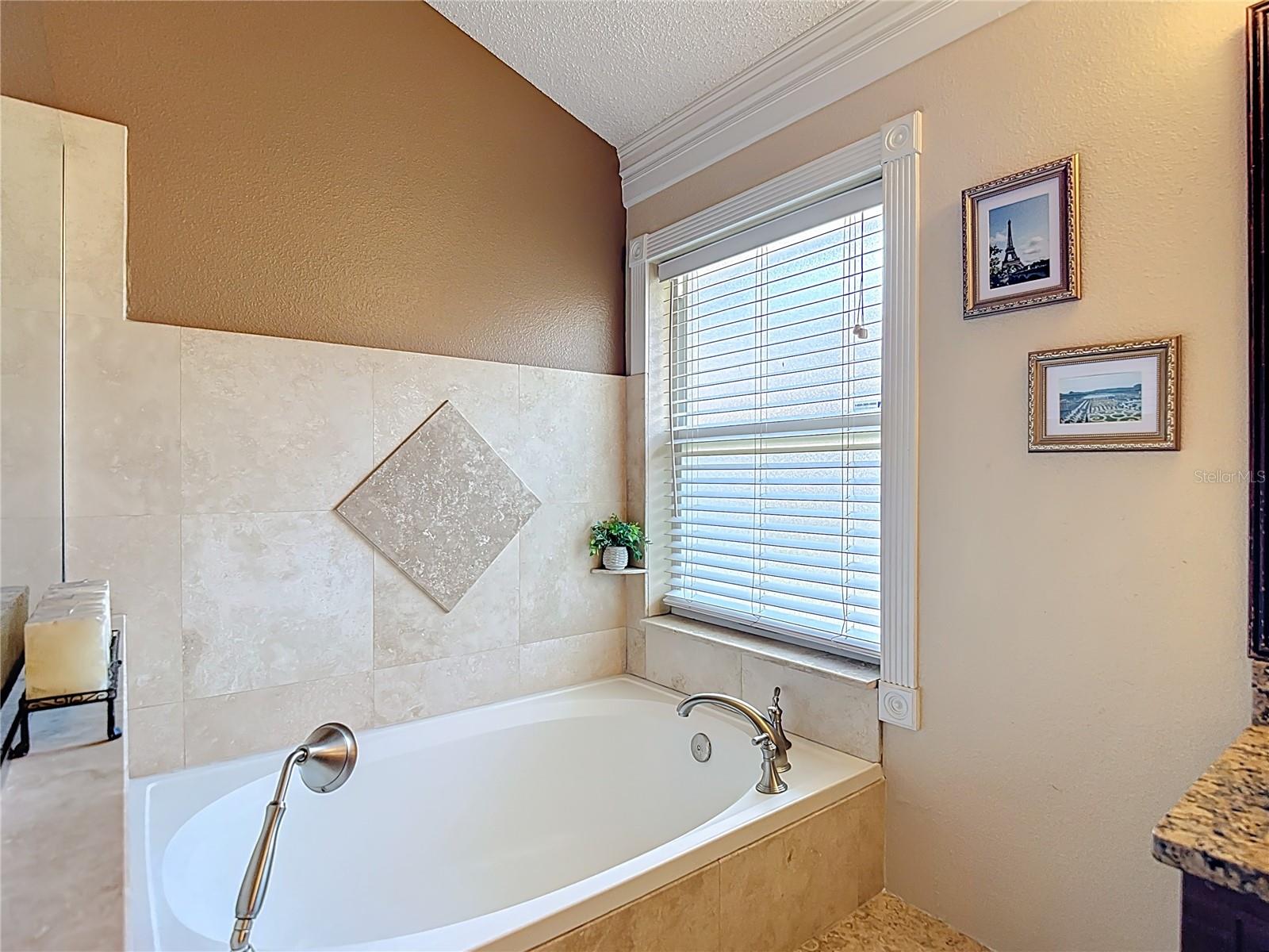 The spacious primary suite includes a walk-in closet and an en-suite bathroom with granite countertops, double sinks, and a walk-in shower.