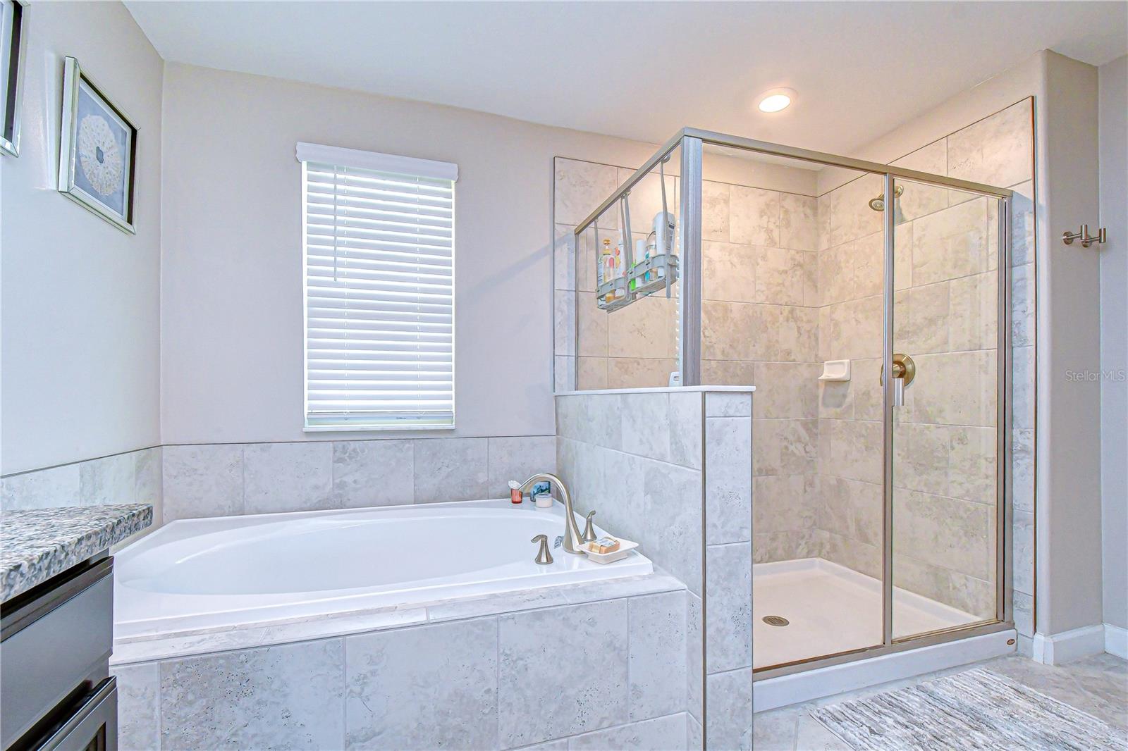 Soaking Tub and Shower