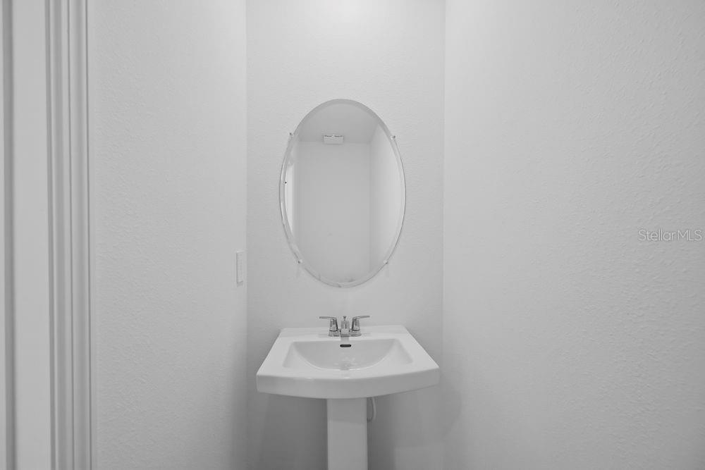 12423 Whisk ~ Ready Now