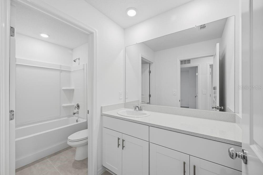 12423 Whisk ~ Ready Now