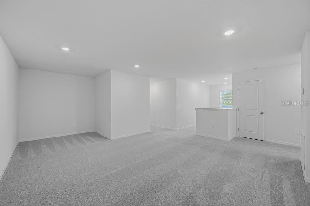 12423 Whisk ~ Ready Now