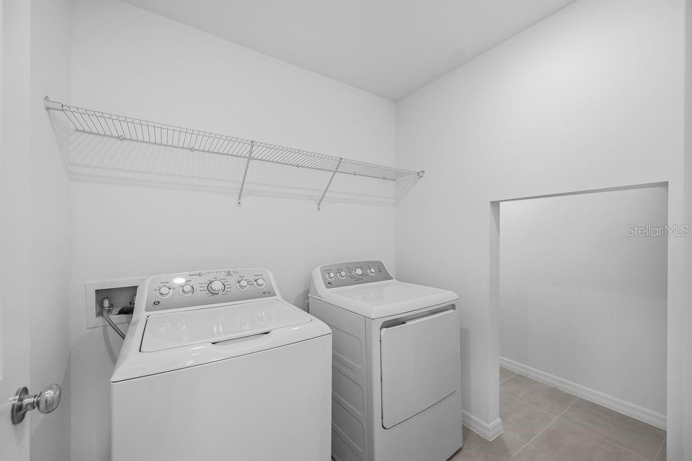 12423 Whisk ~ Ready Now