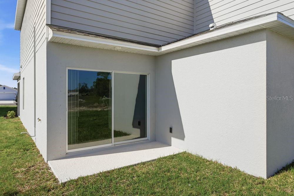 12423 Whisk ~ Ready Now