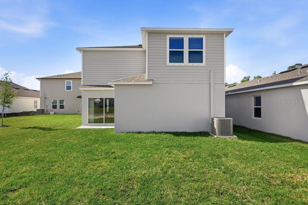 12423 Whisk ~ Ready Now