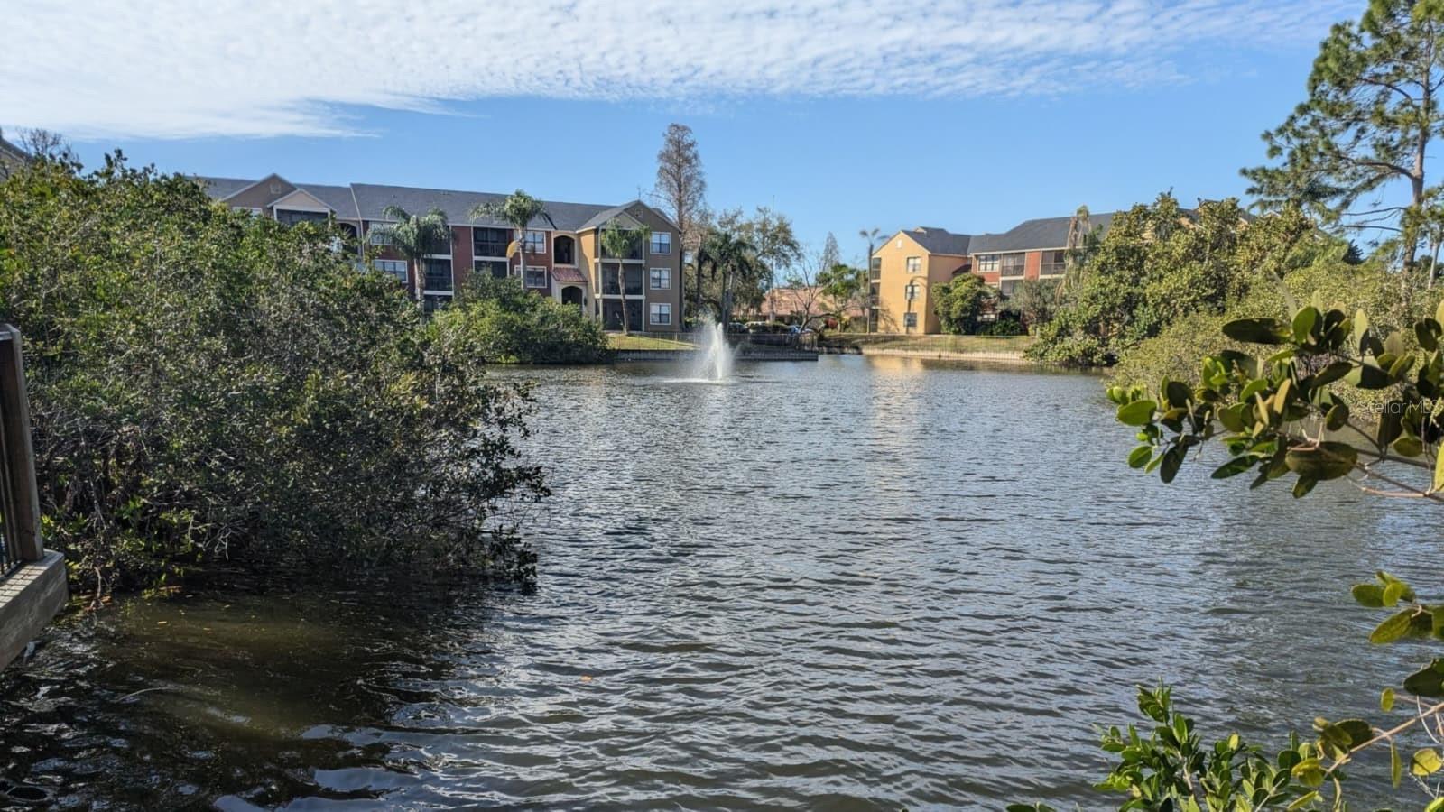 Beautiful pond with fountain