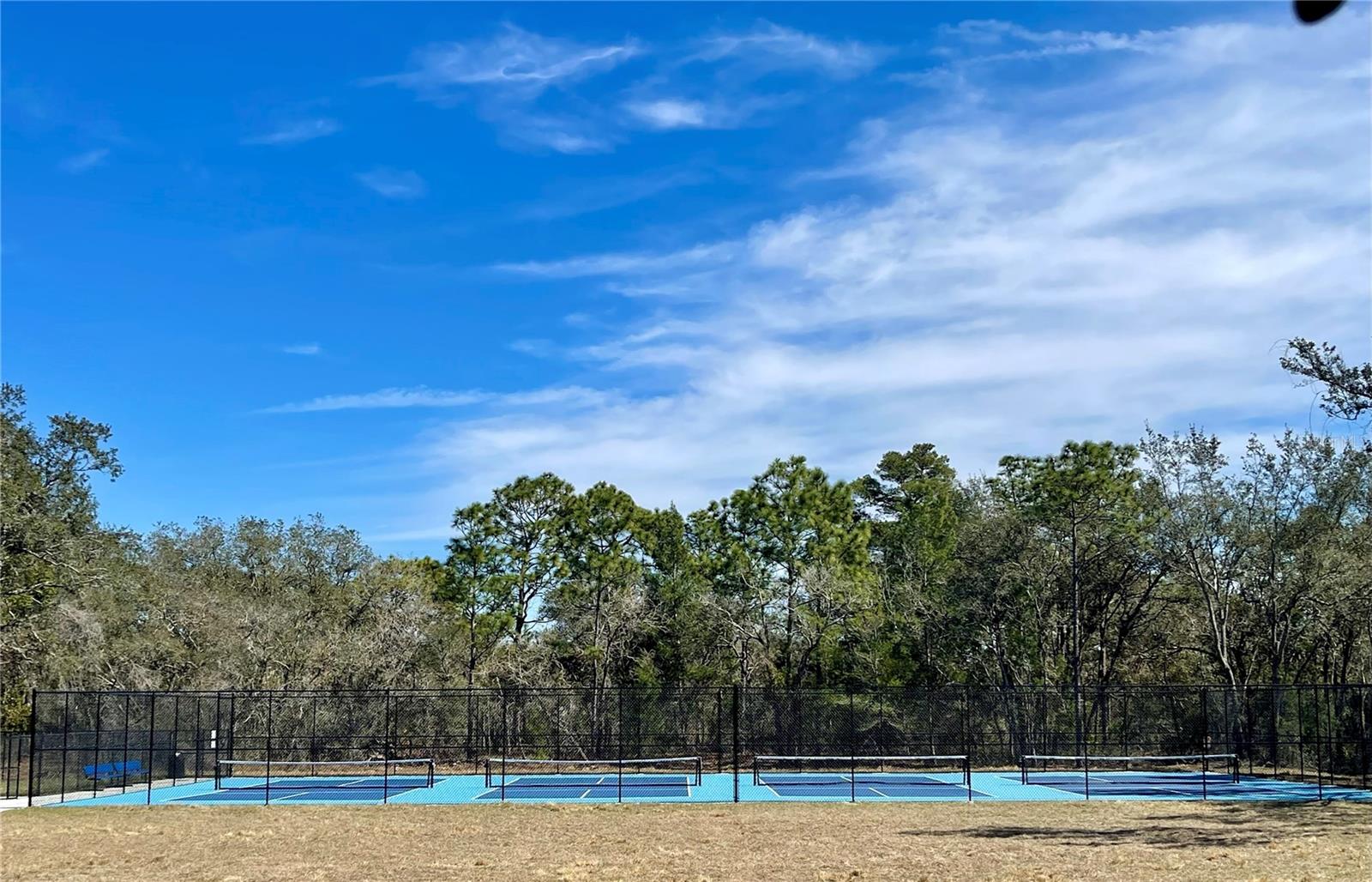 Southside pickleball courts