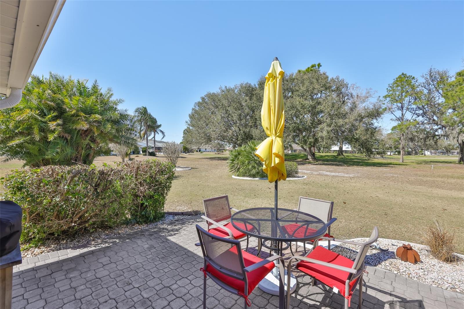 What a view!  This is very rare.