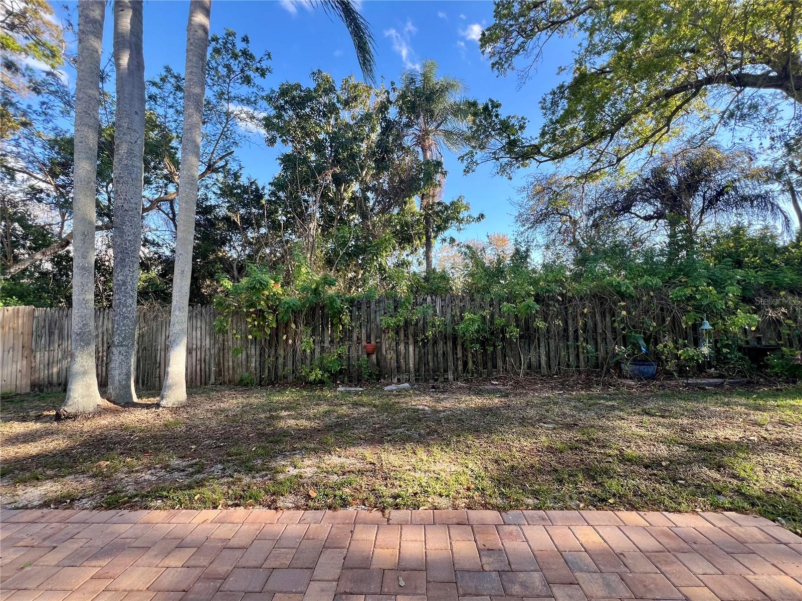 Private Backyard View