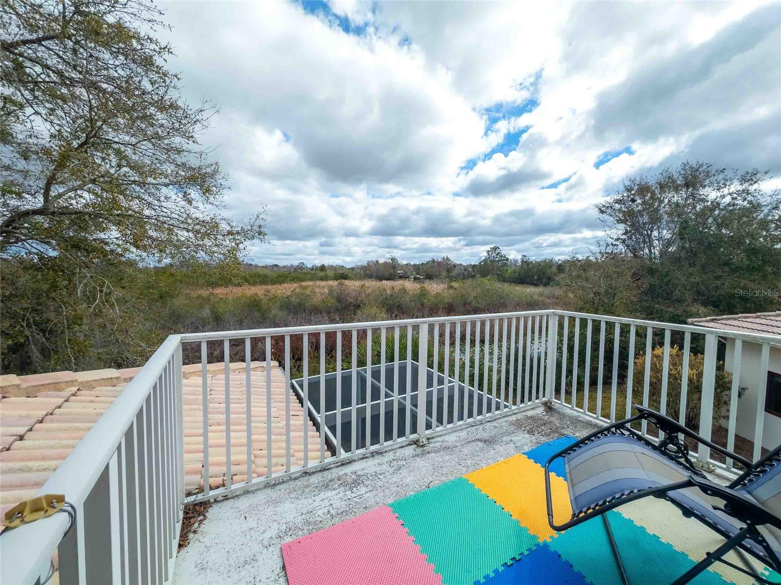 View from balcony of wetland