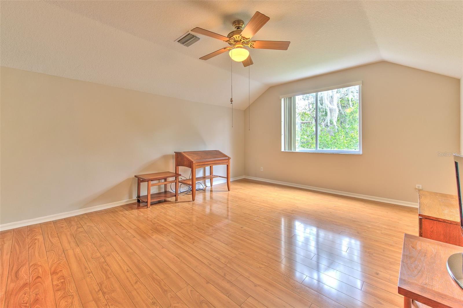 Upstairs Bonus Room