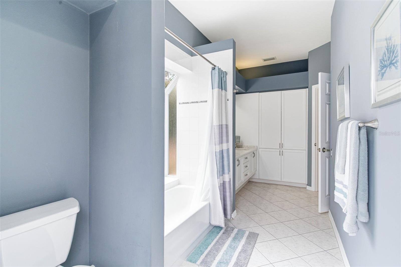 Bathroom 2 plenty of cabinet storage in the vanity area.