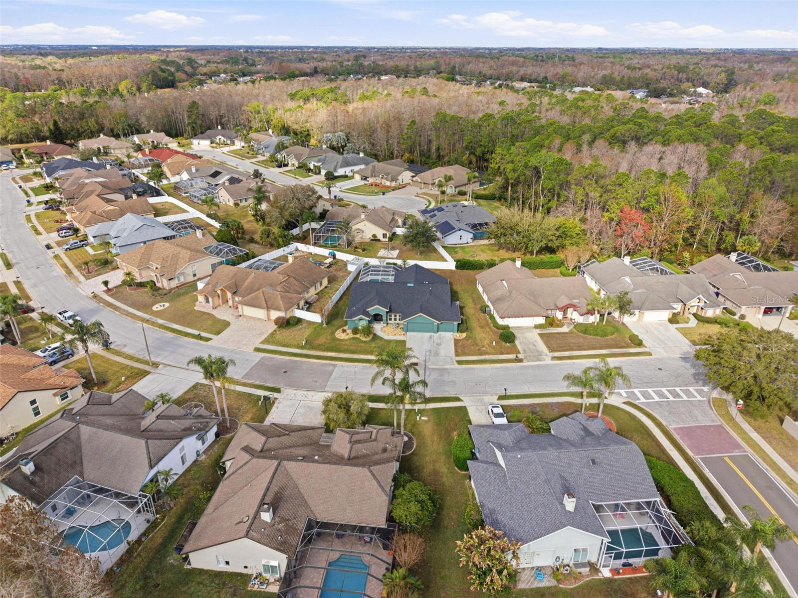 Drone view of the street and neighborhood.
