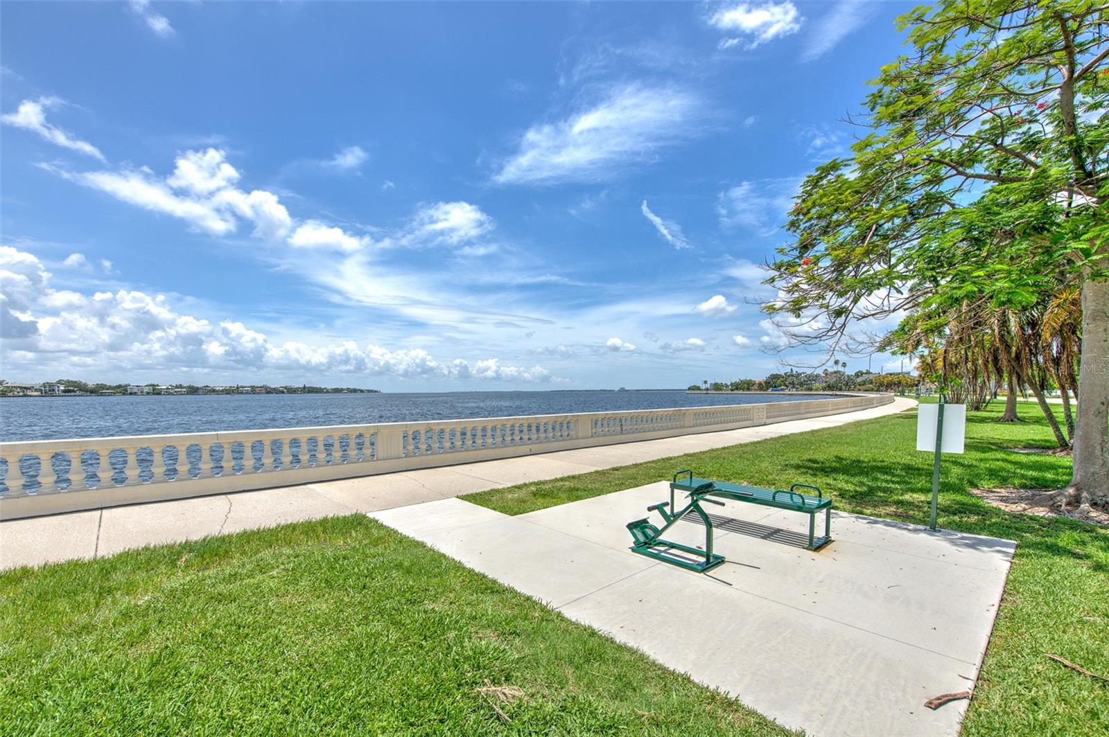 3 minute drive or 12 minute walk to Bayshore Boulevard