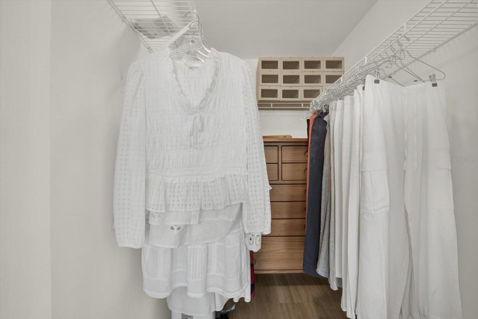 Primary Walk-in Closet