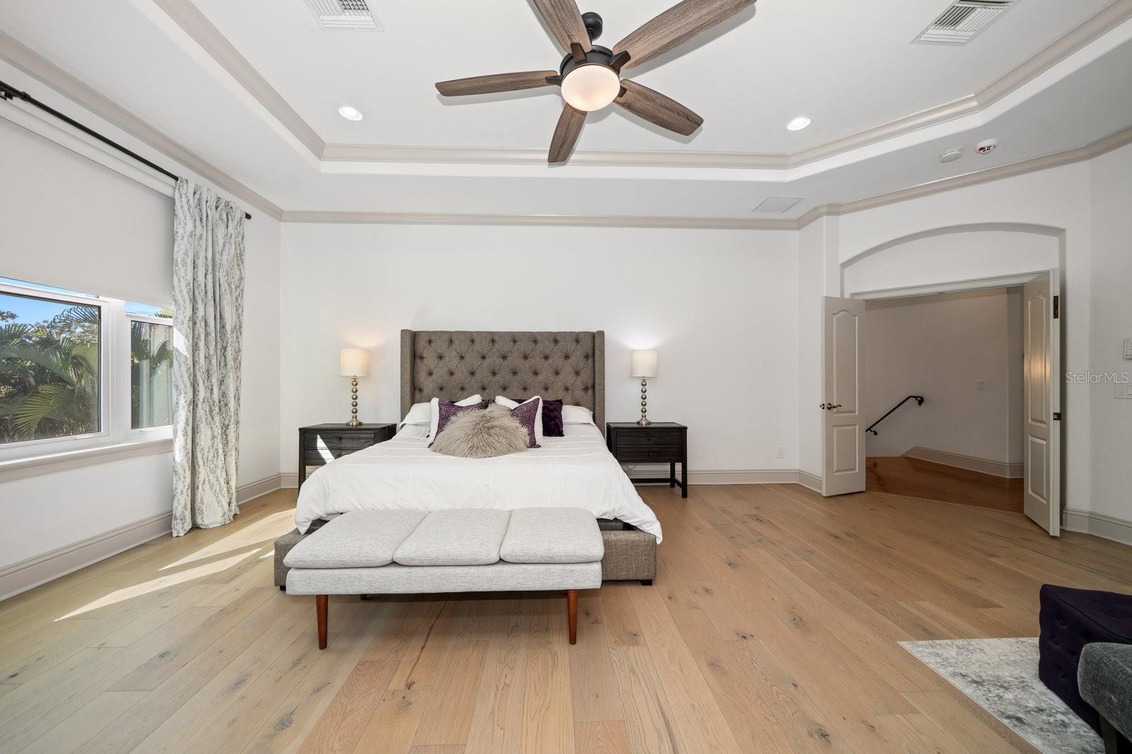 Primary Bedroom (Second Floor)