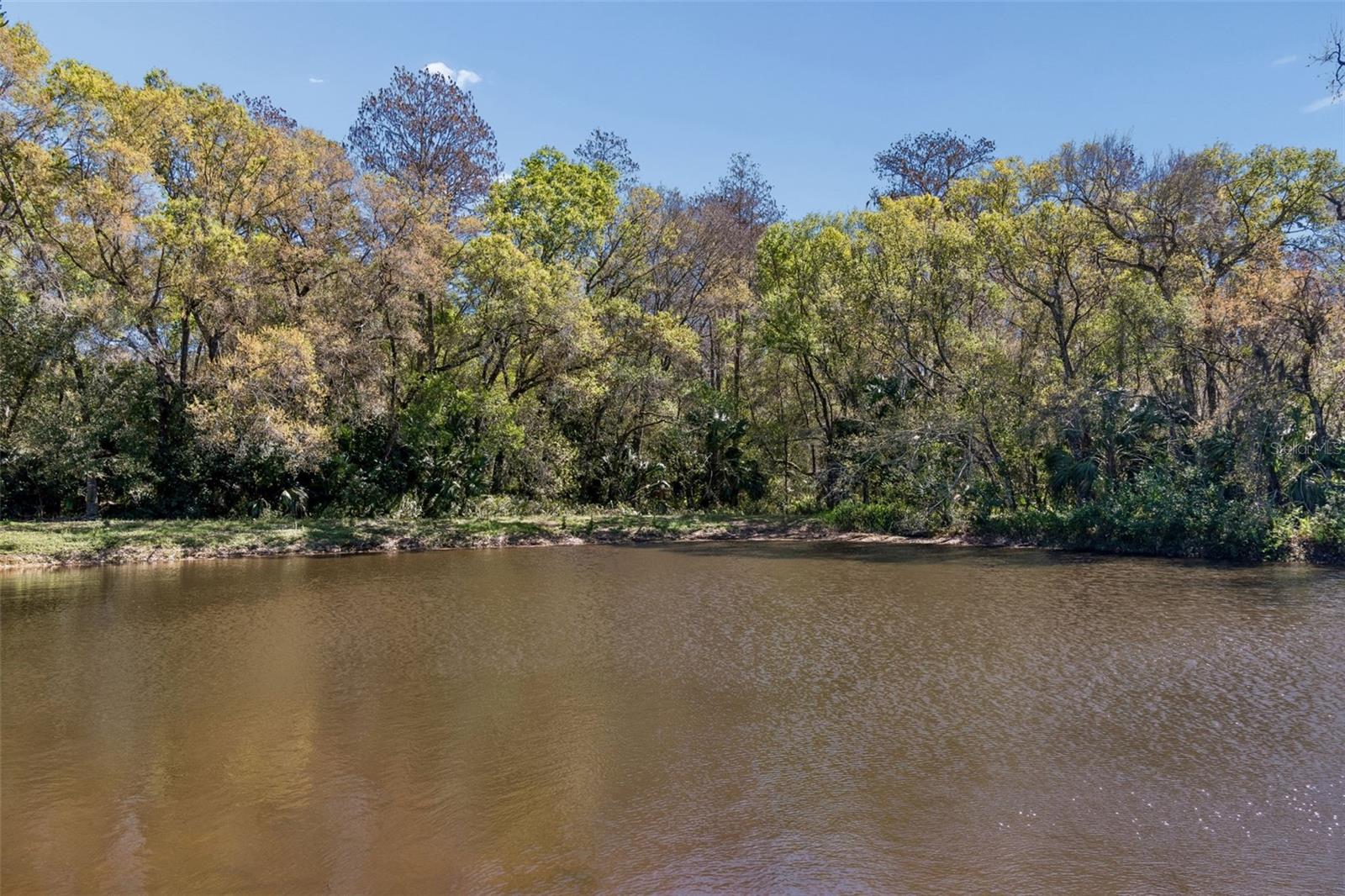 Beautiful Backyard w/Mature Trees