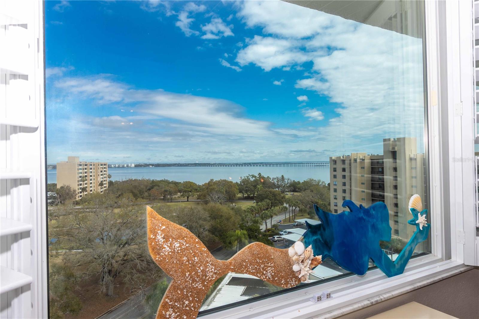 Views from Primary Bdrm