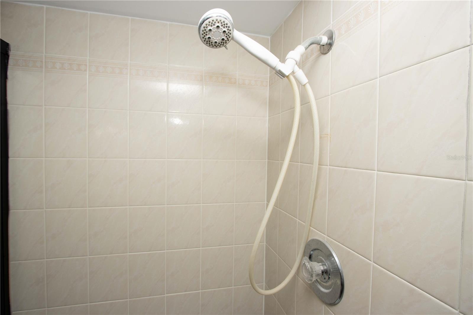Hall bathroom walk-in Shower