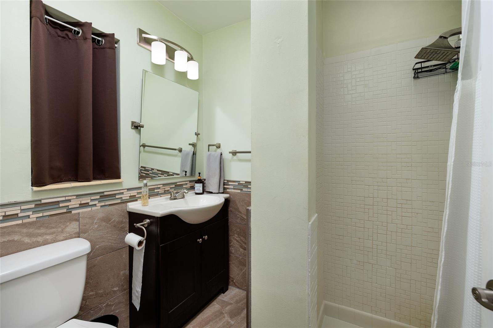 Remodeled Primary Bath (2019)