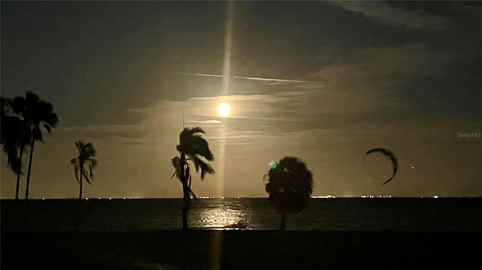 Moon rise at Lassing Park just steps away front your front door!