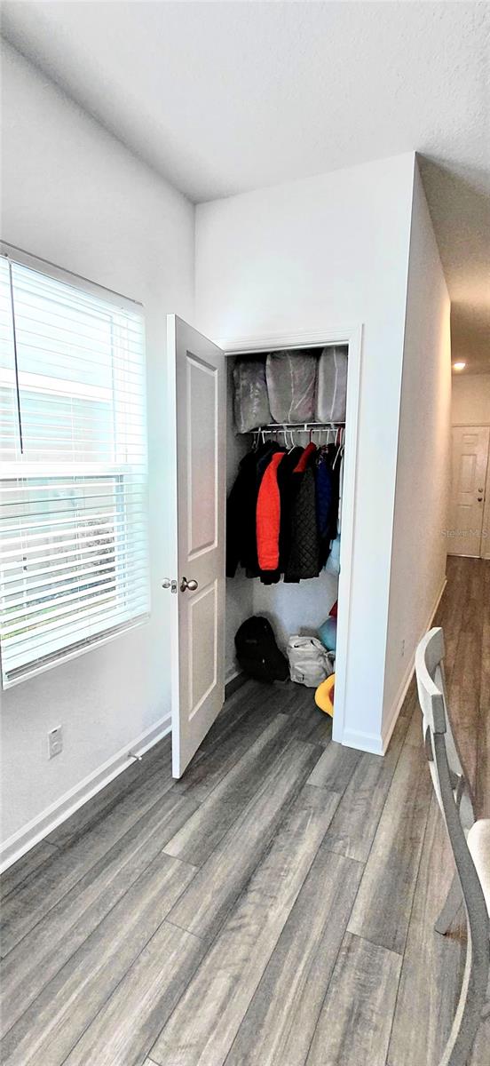 GREAT ROOM STORAGE/CLOSET