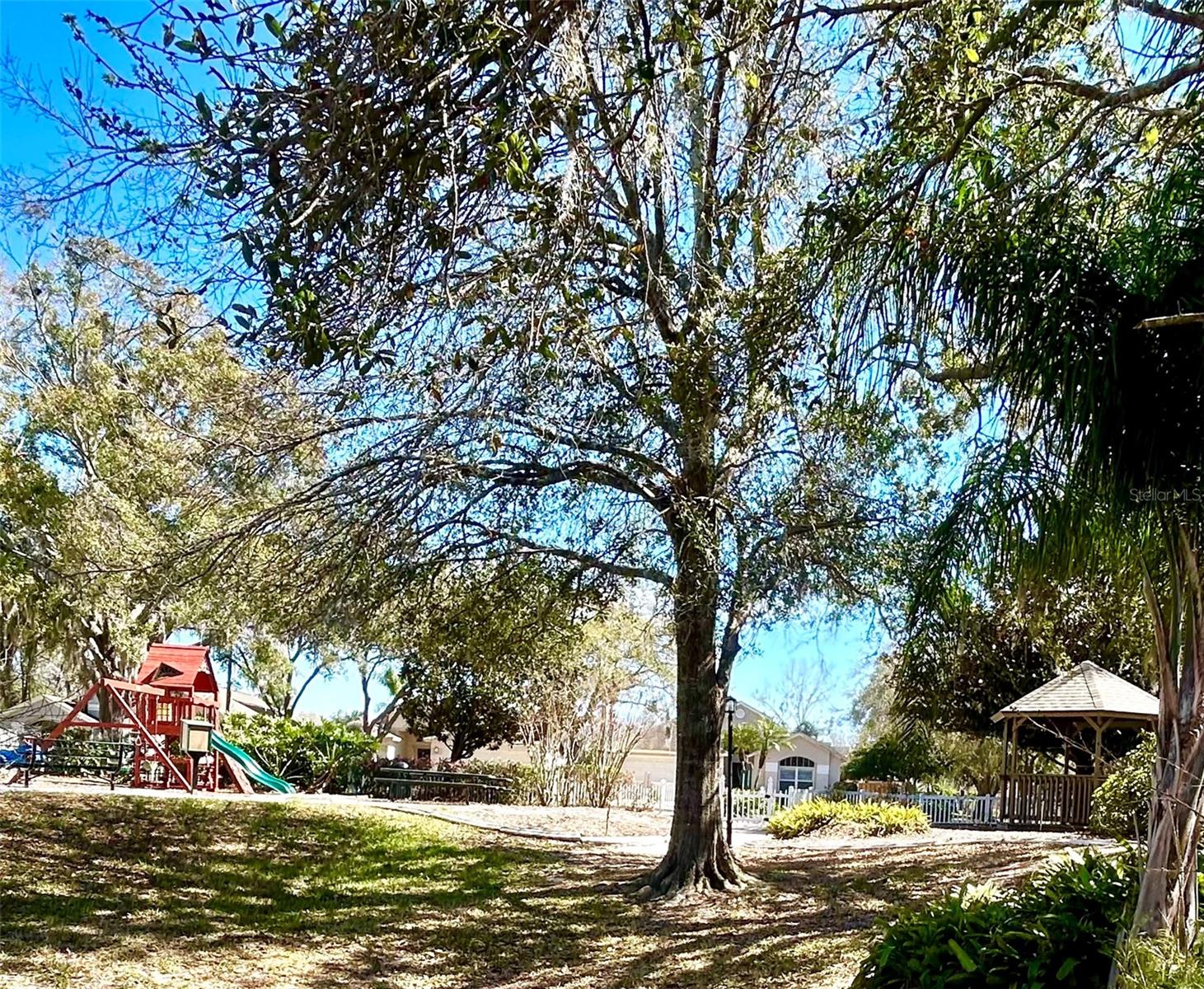Your park offers plenty of shade while enjoying the outdoors.