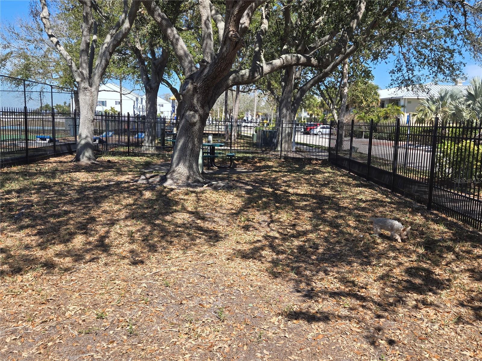 Dog park