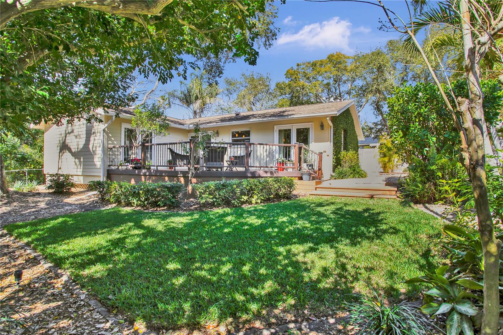 Lush New Green Grass in your Backyard