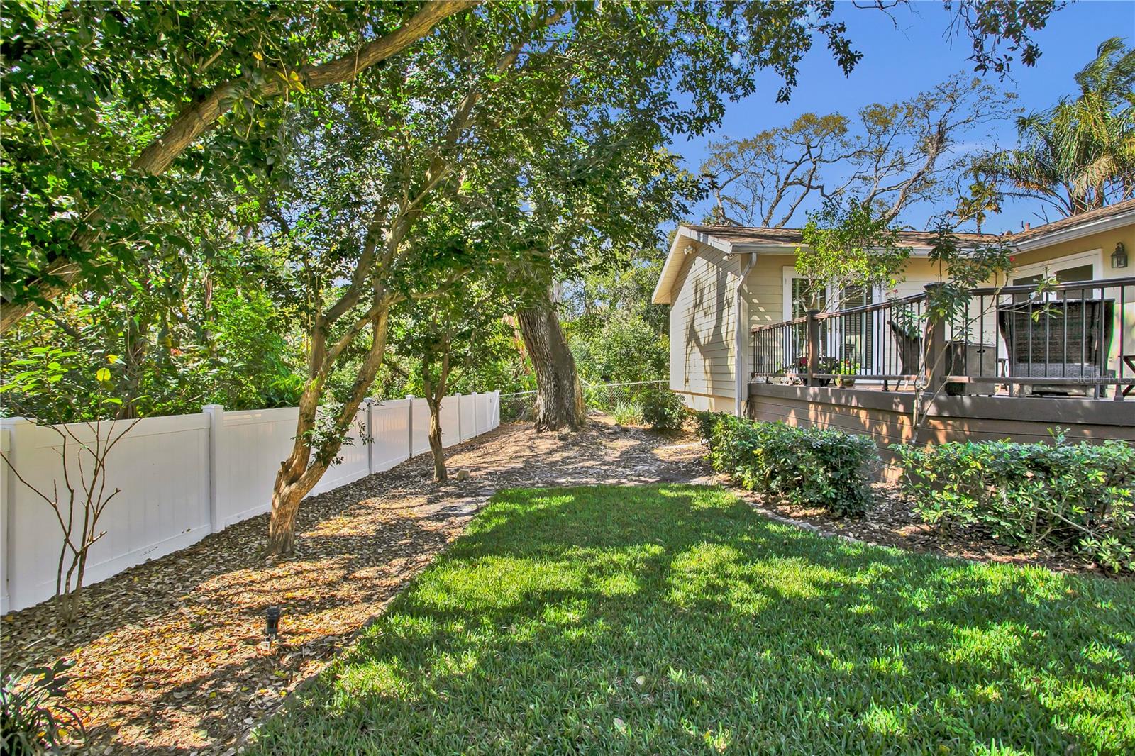 Lush New Green Grass in your Backyard