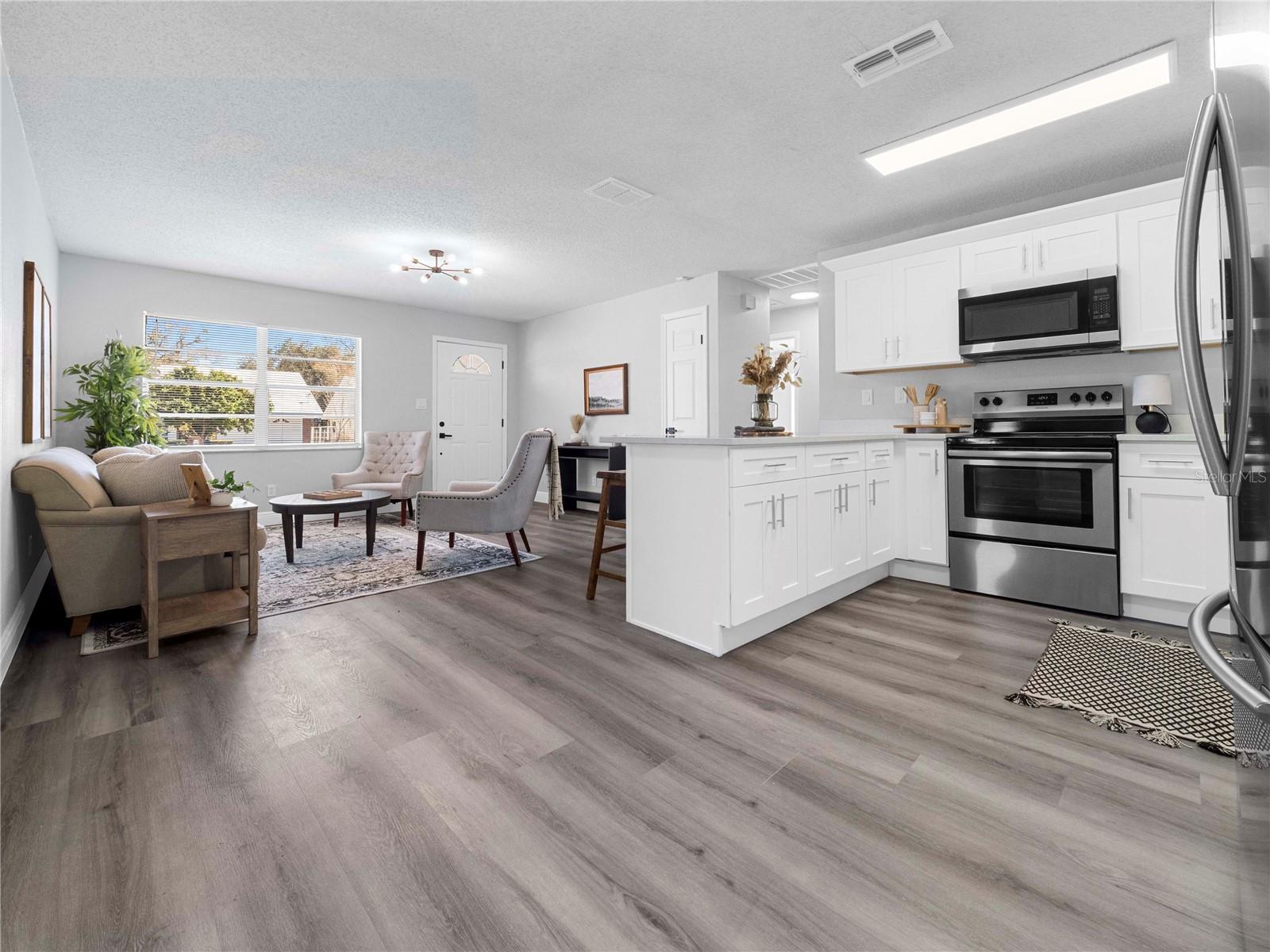 Open Kitchen/Living Area