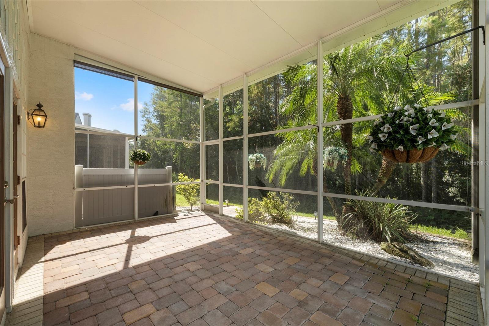 Huge Back Porch Screened Lanai with Conservation Views Throughout