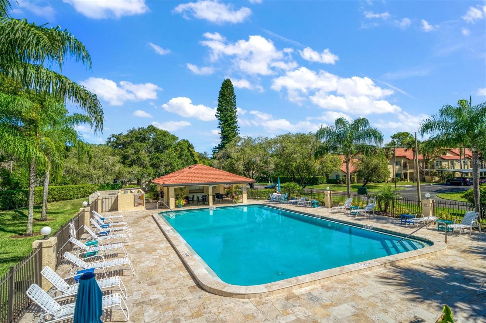 Gorgeous Sparkling Pool
