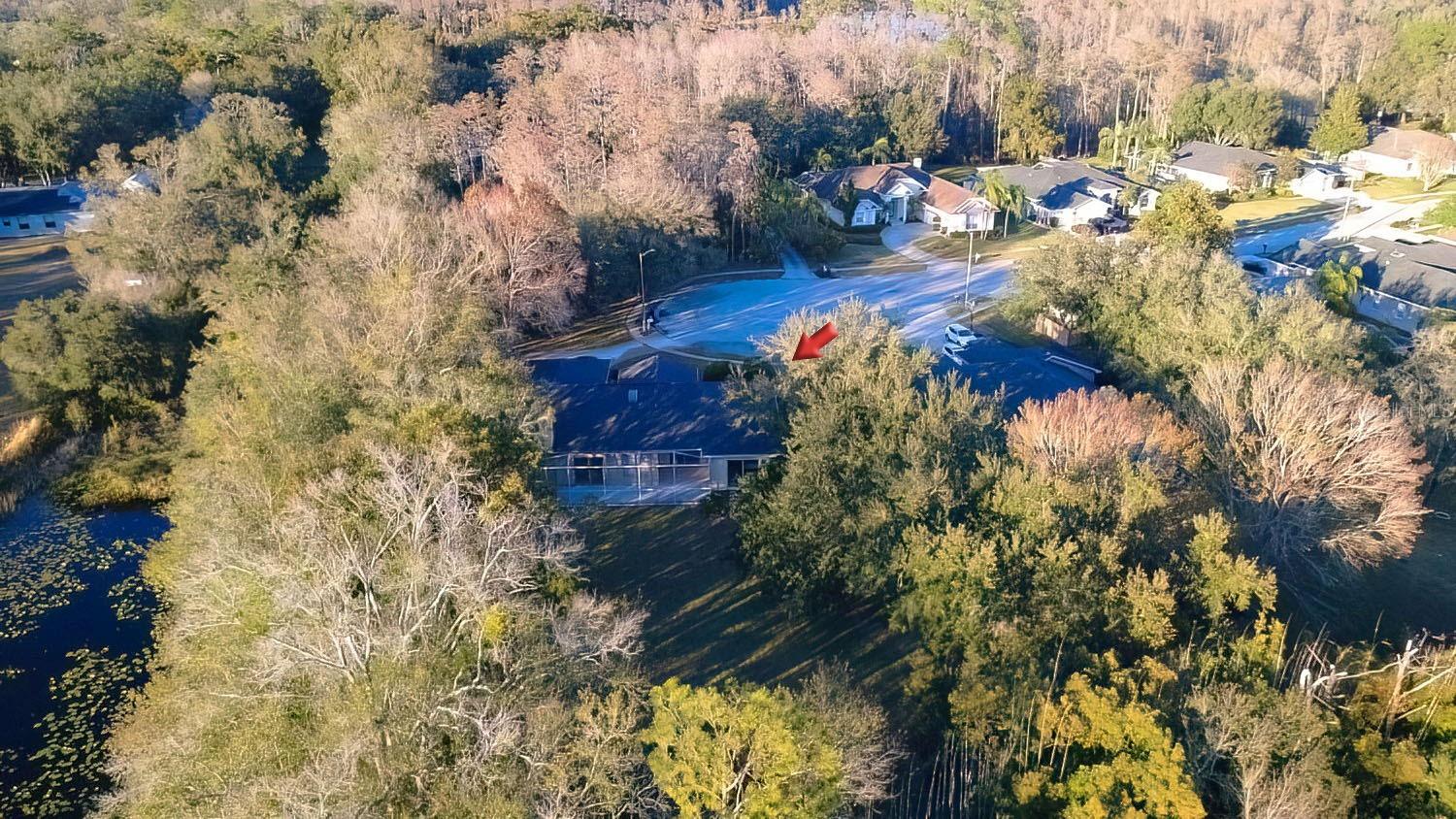 Large Lot Near Conservation Area