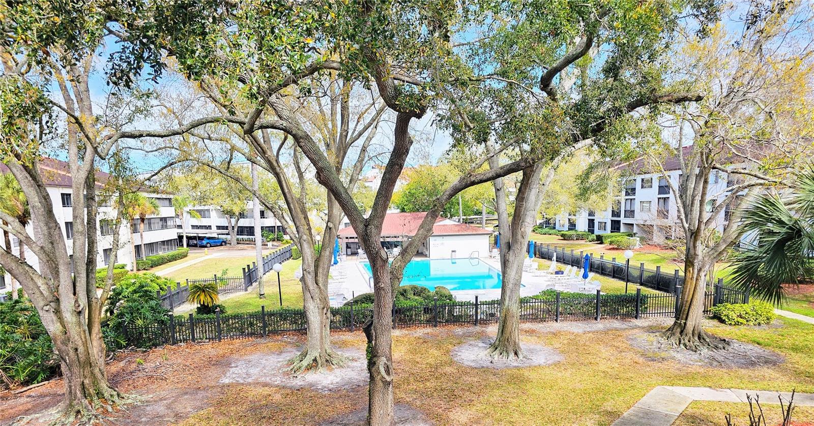 VIEW OF POOL AREA FROM BUILDING