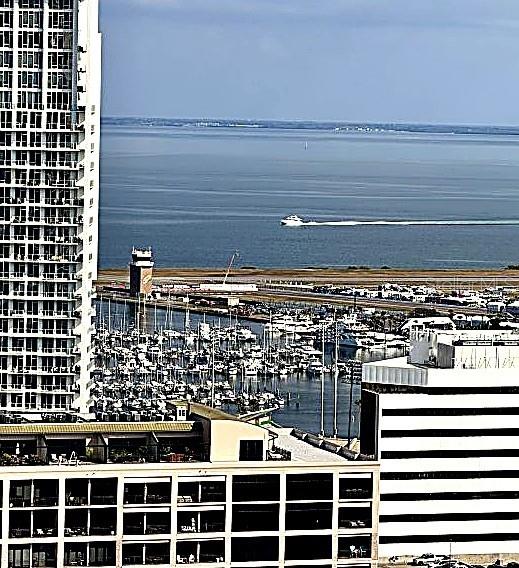 Balcony View of Tampa Bay