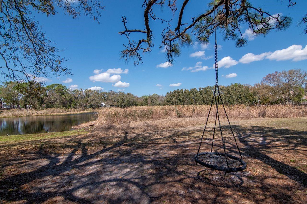 Backyard, Tire Swing, and Pond