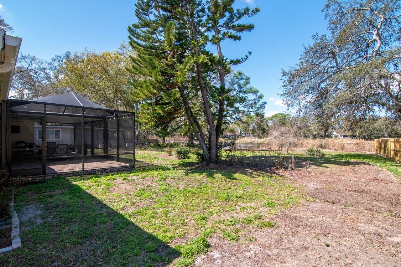 View of Lanai from Backyard