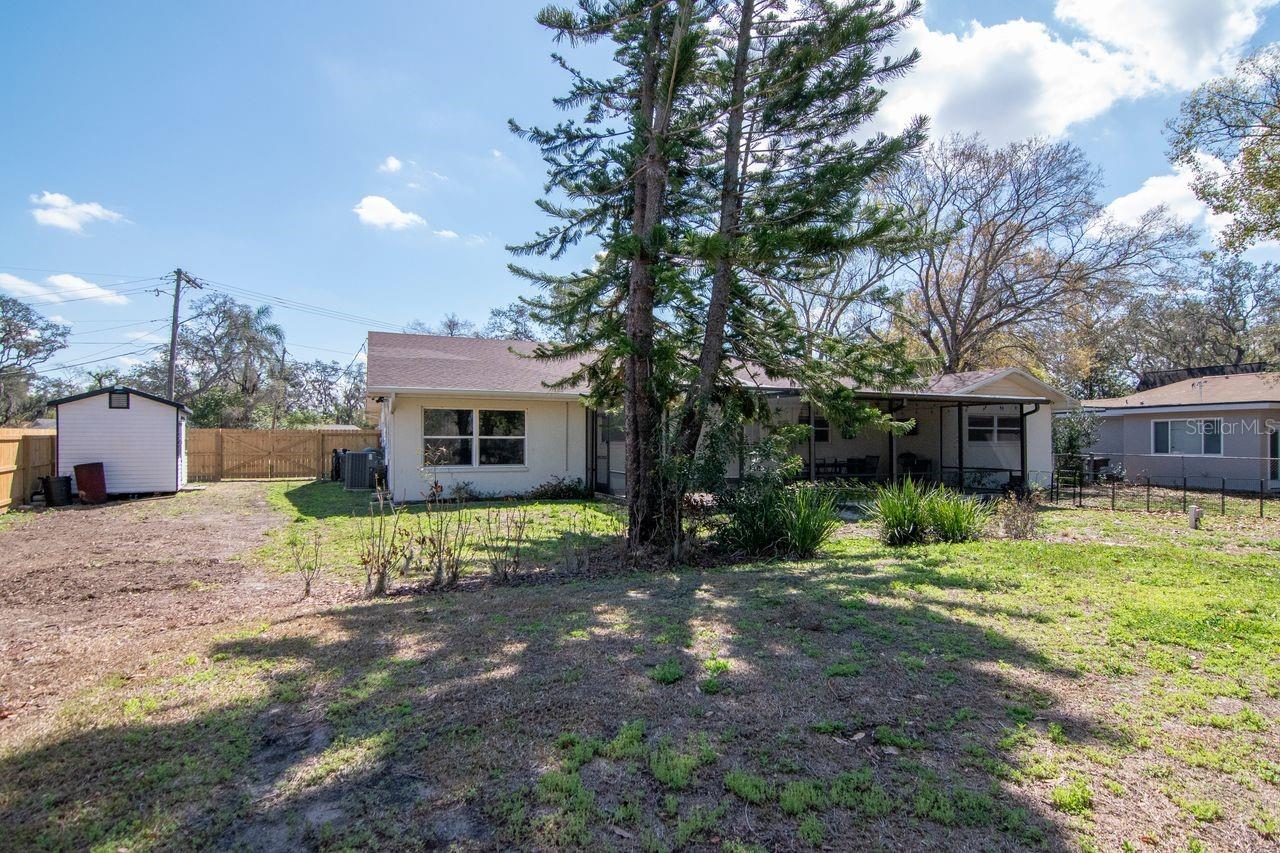 Backyard and View of Back of Home