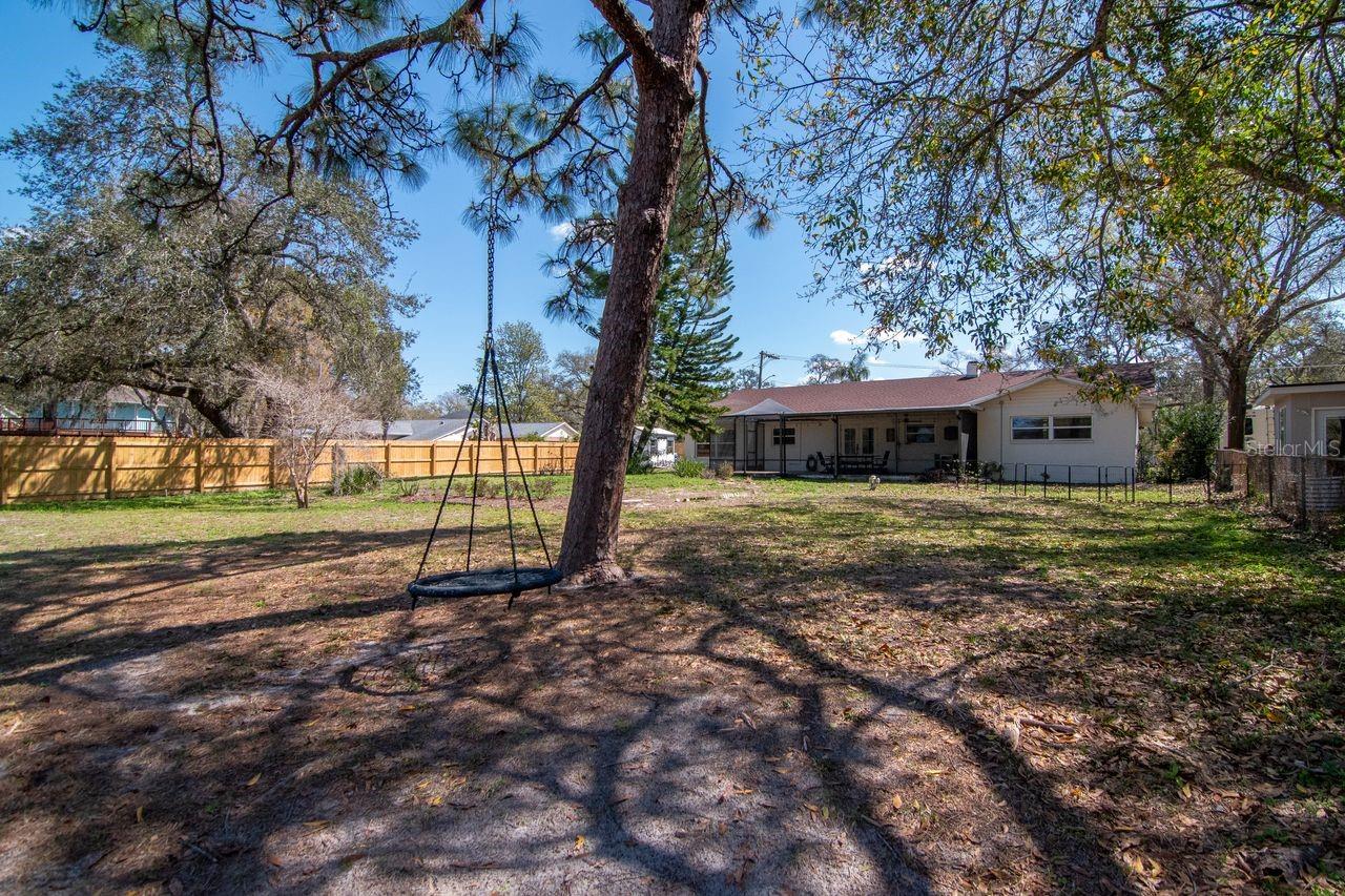 Backyard & Tire Swing