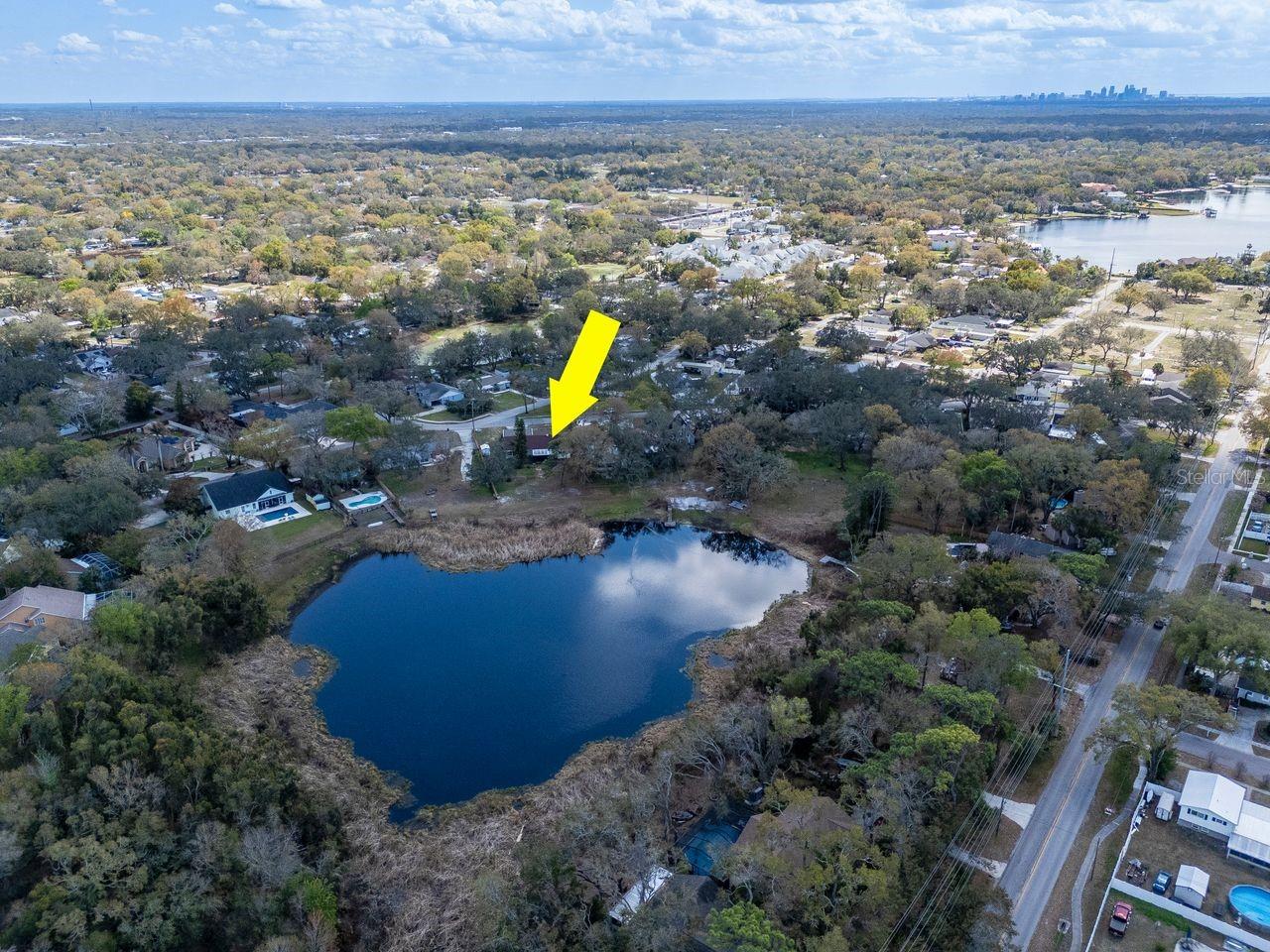 Aerial View of Home & Pond, and Oversized Lot