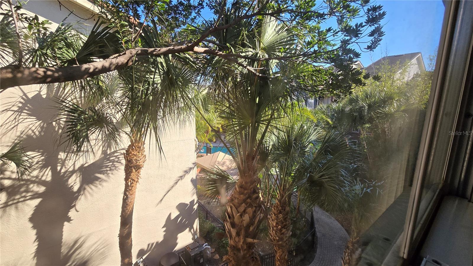 view from living area window